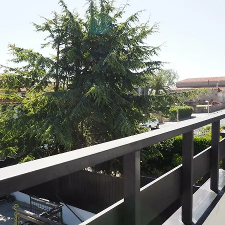 Once Nudos * 卢安科